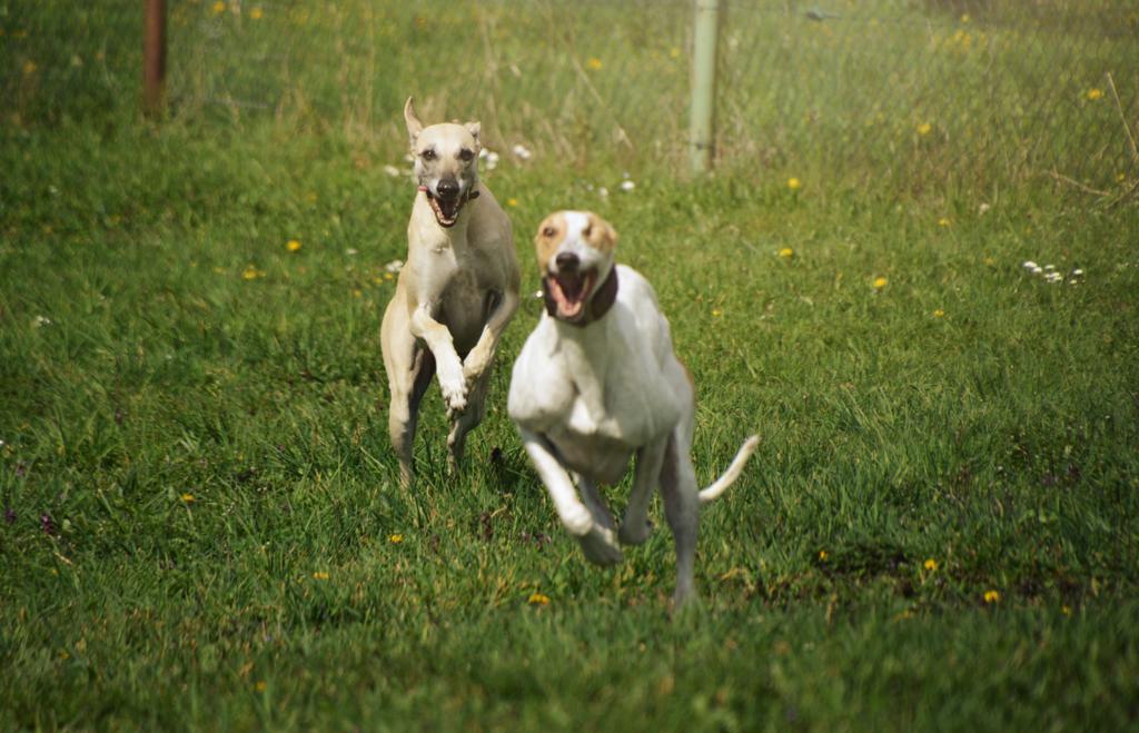 Urlaubsgrüße von Heidi (Ricky)